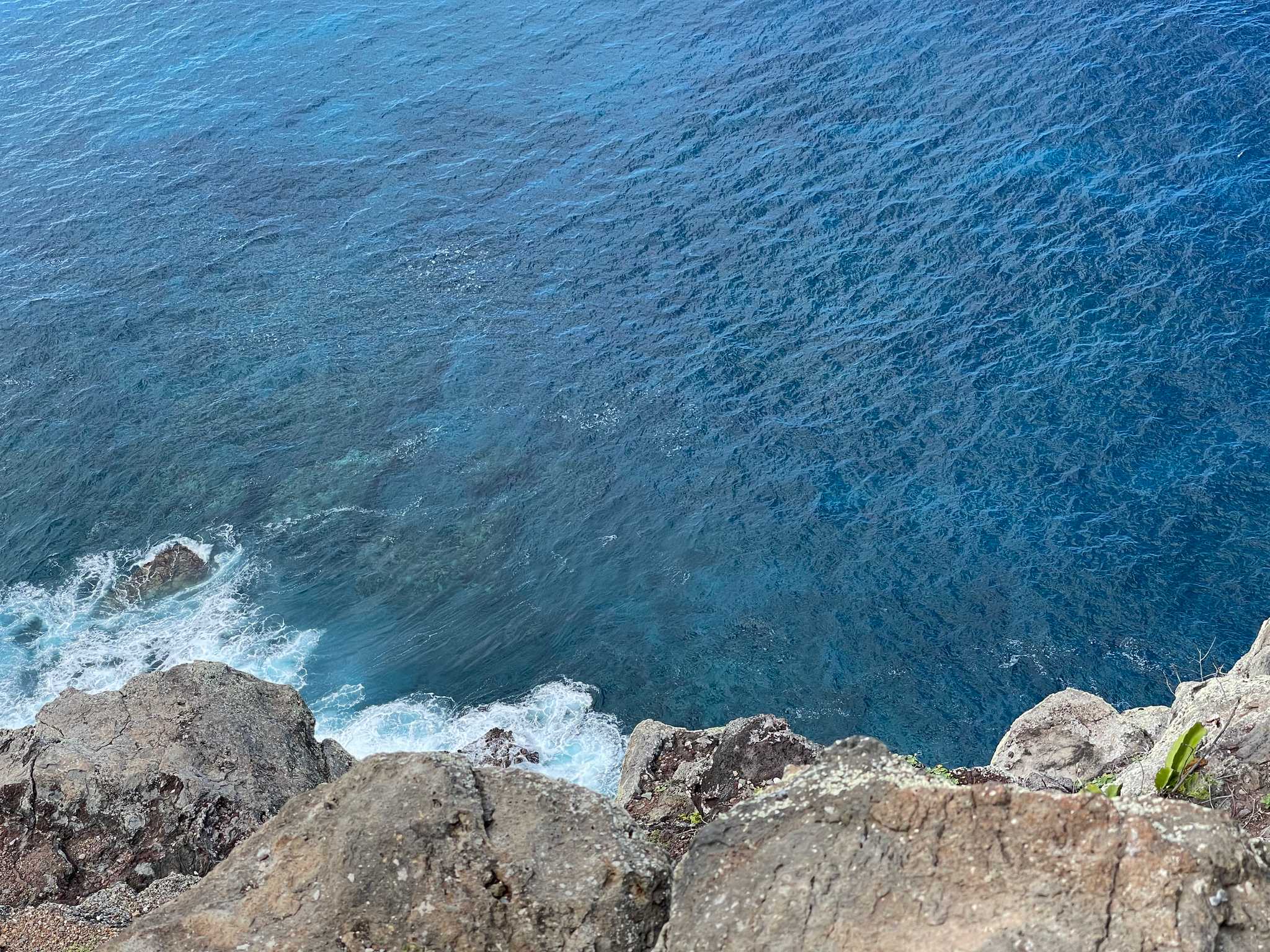 Lighthouse Trail