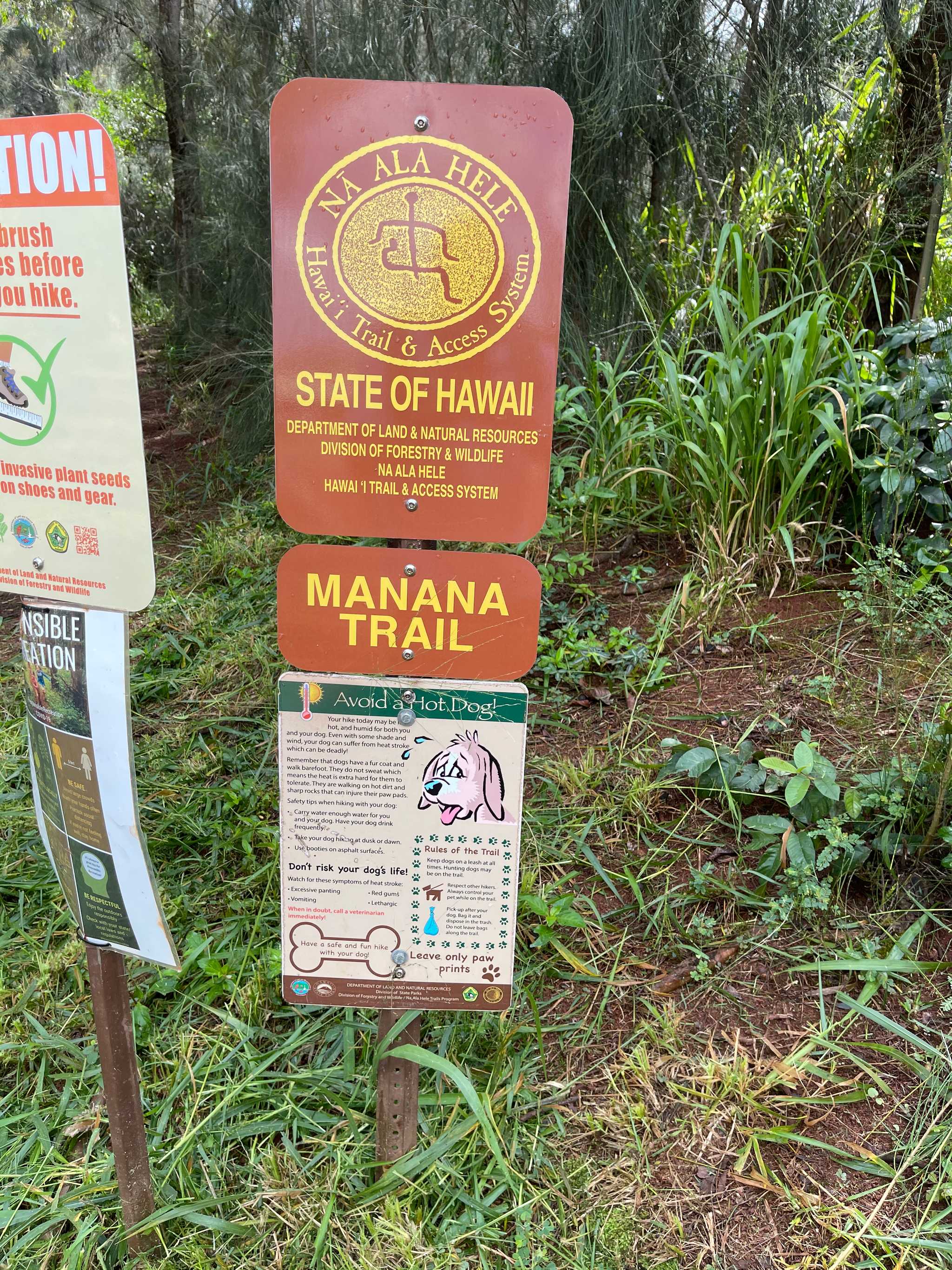 Manana Trail