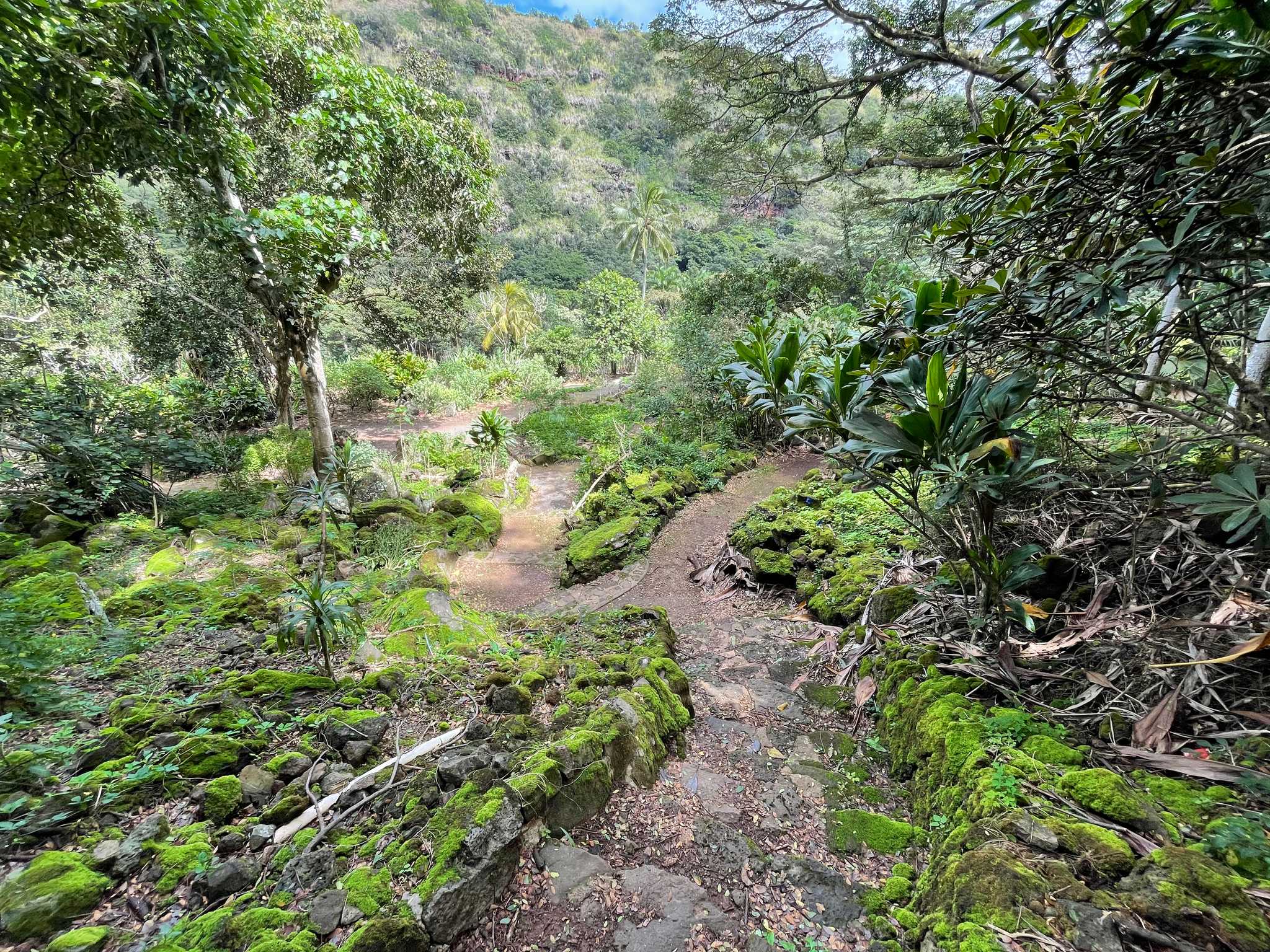 Waimea Valley