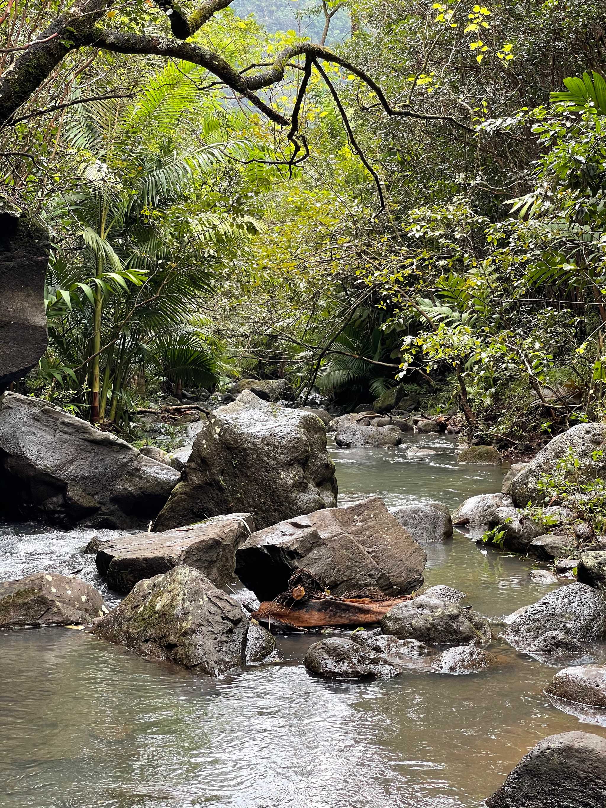 Manana Trail