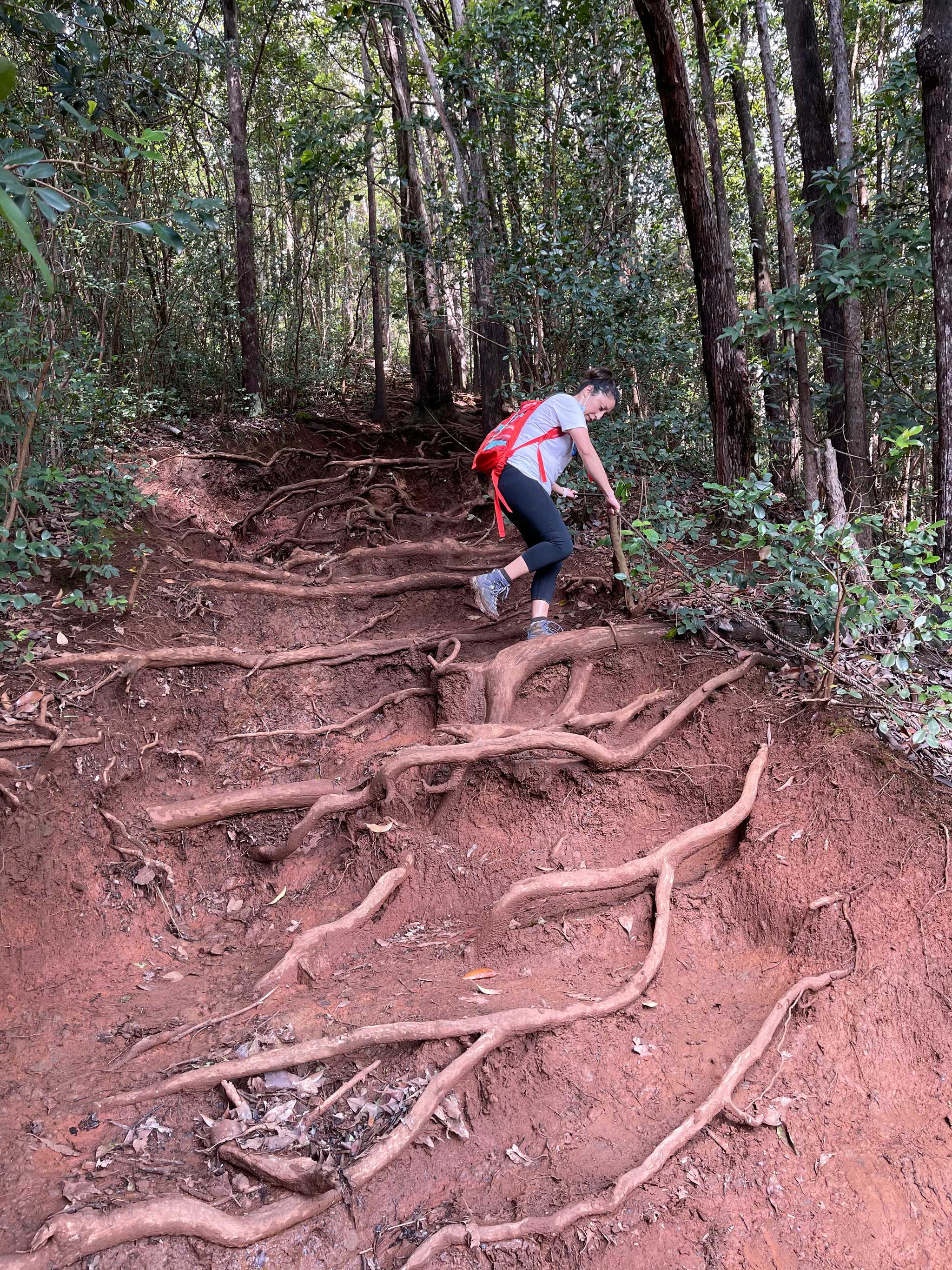 Manana Trail