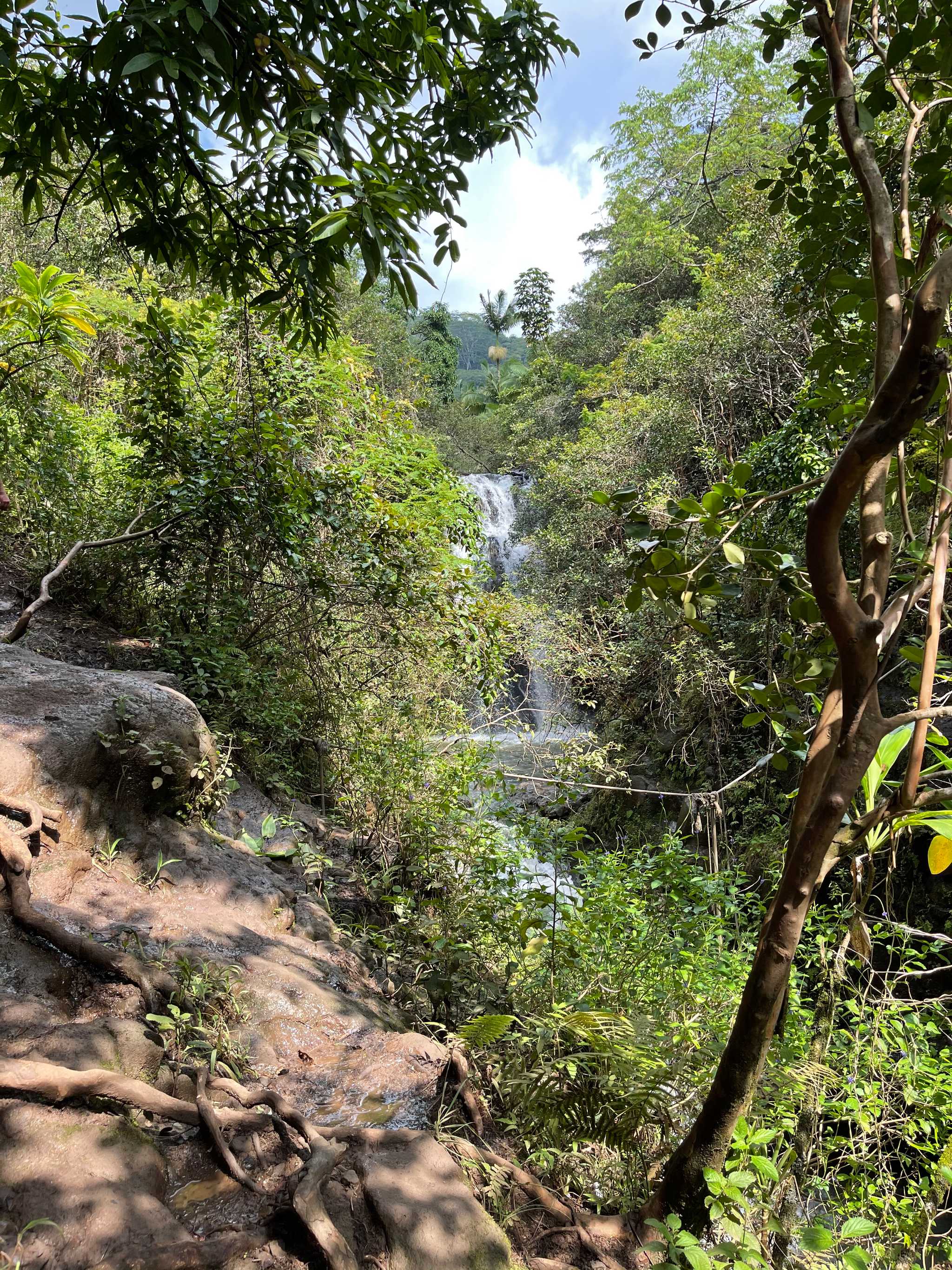 Manana Trail