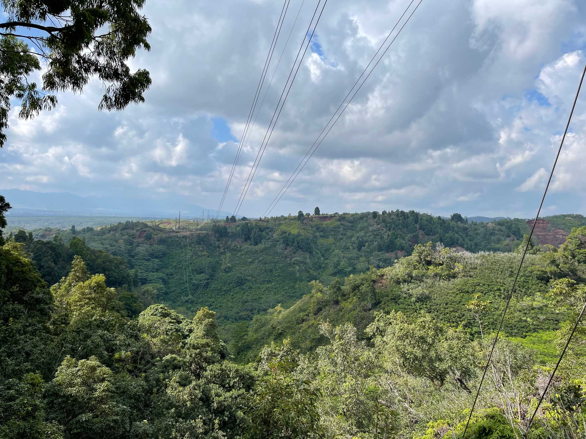 Manana Trail