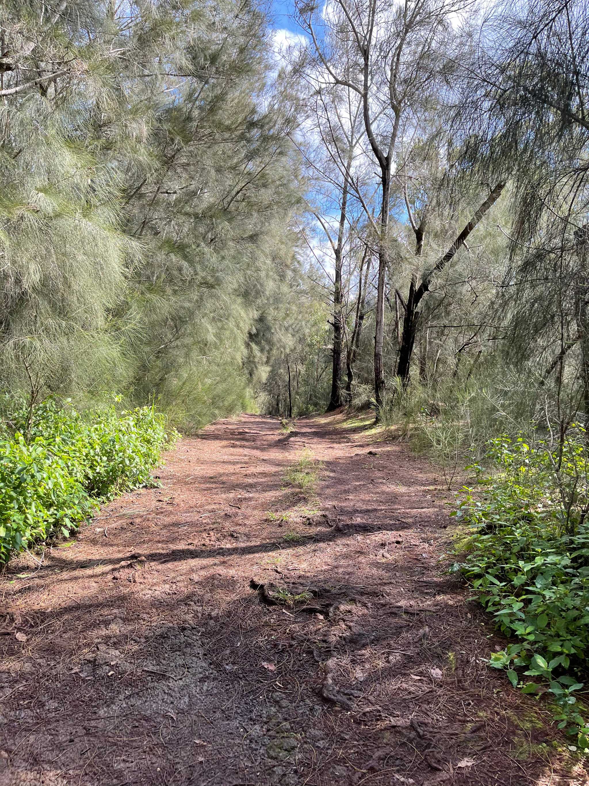 Manana Trail