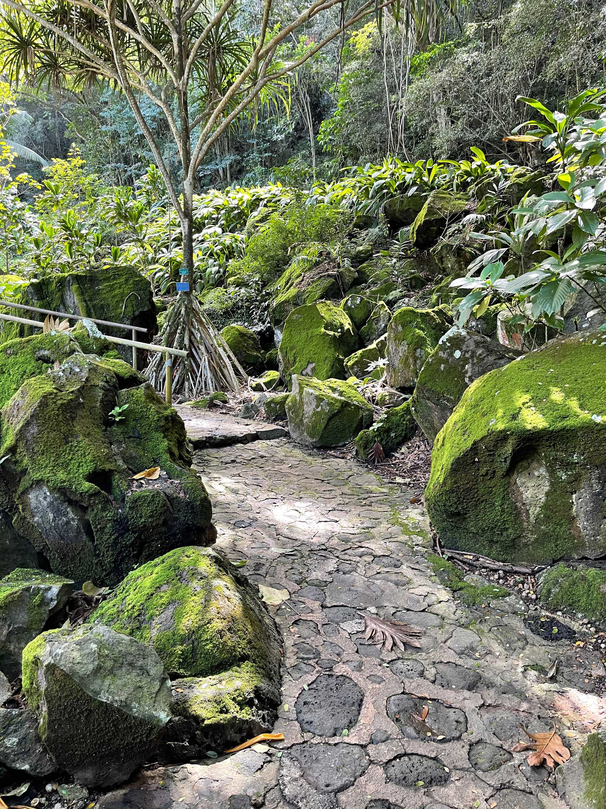 Waimea Valley