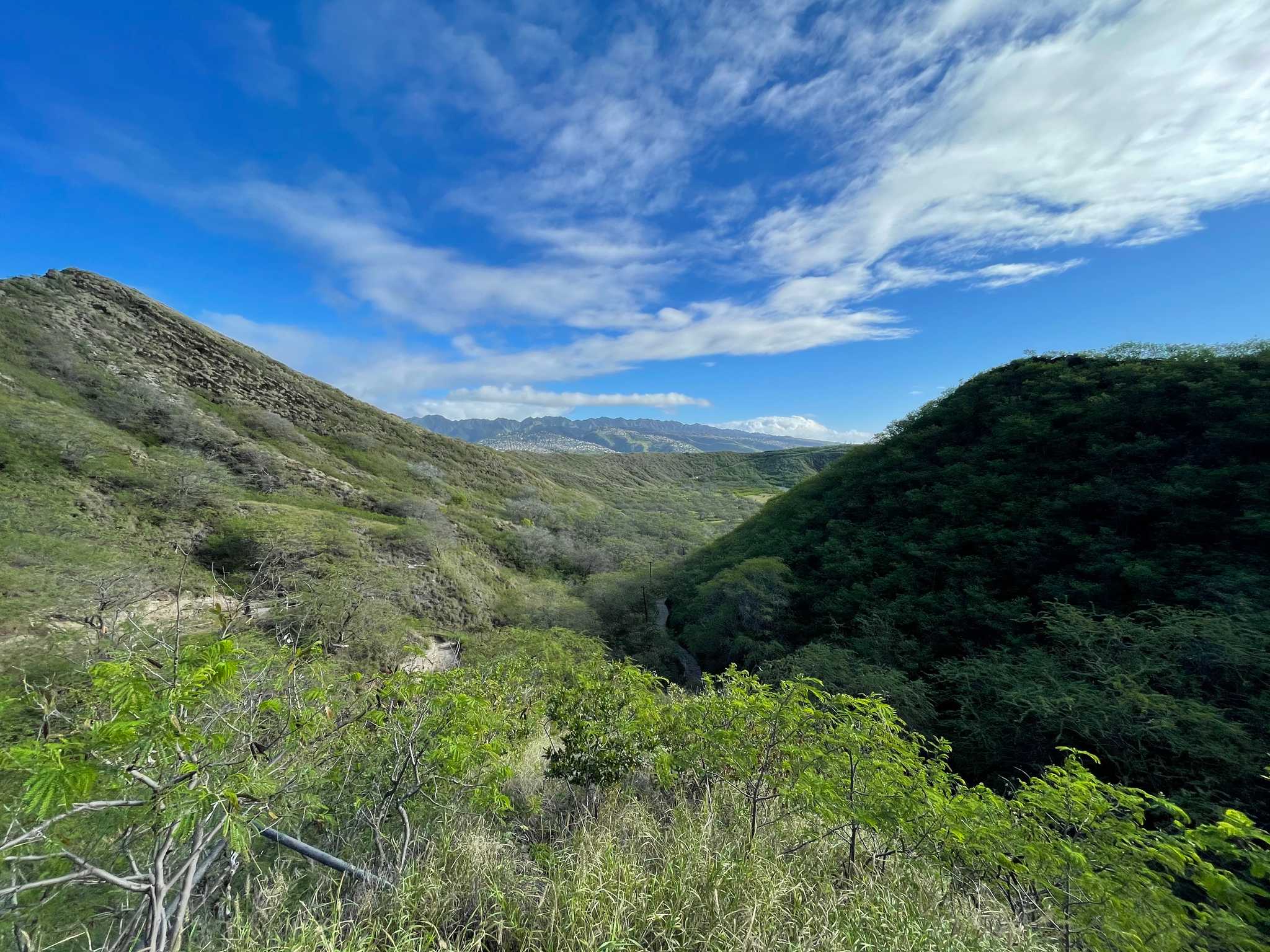 Diamond Head