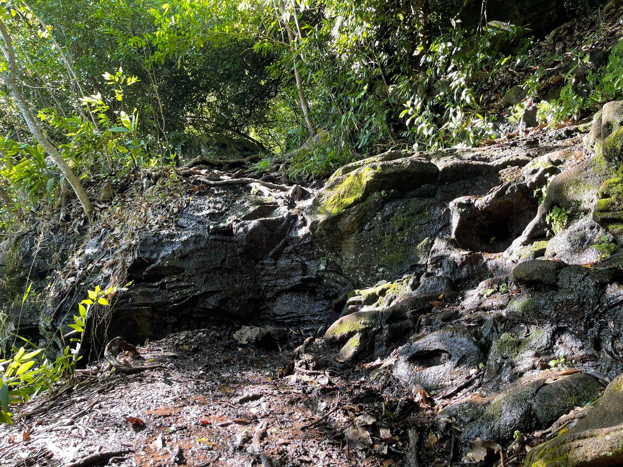 Moleka Trail