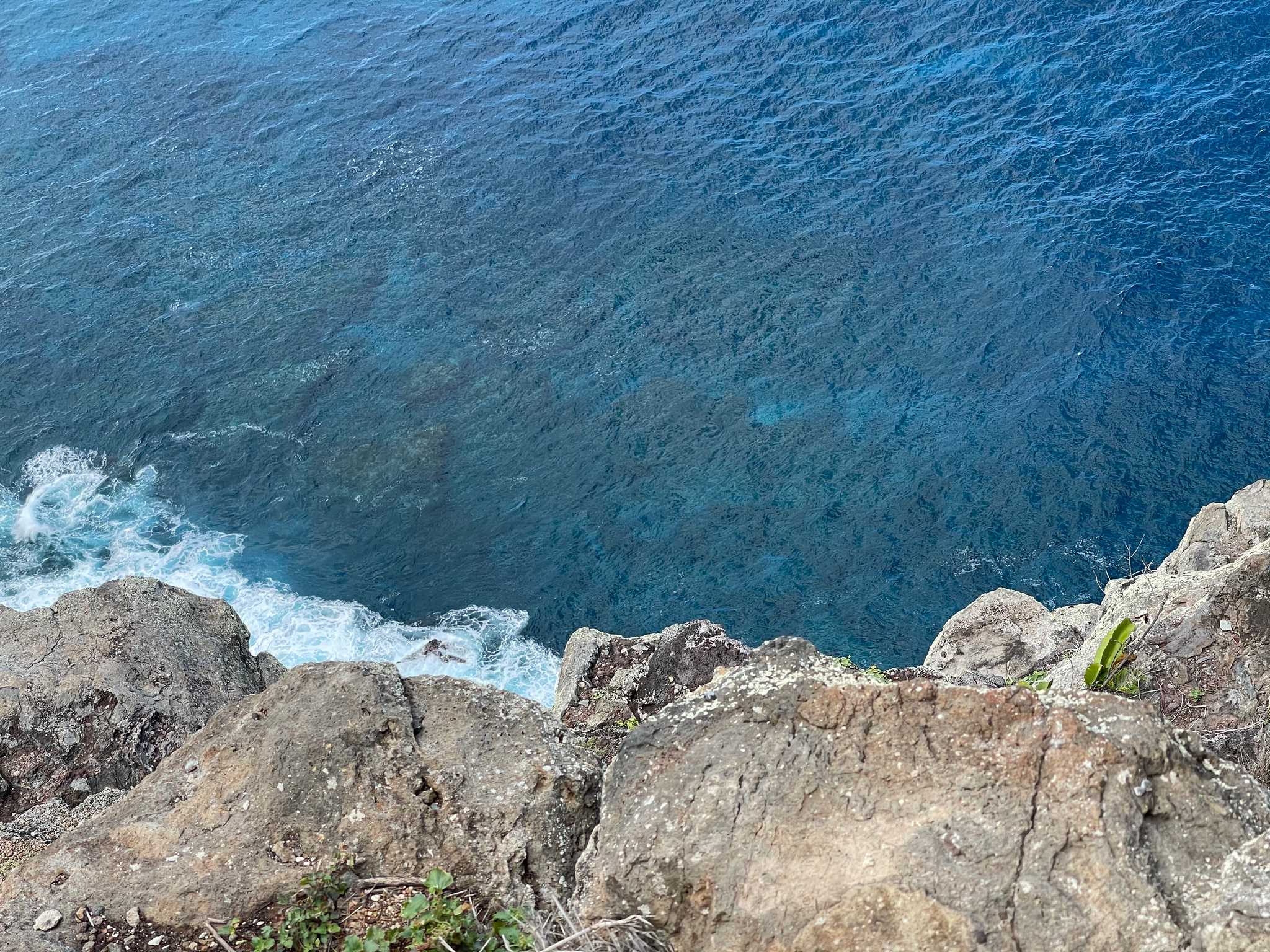 Lighthouse Trail