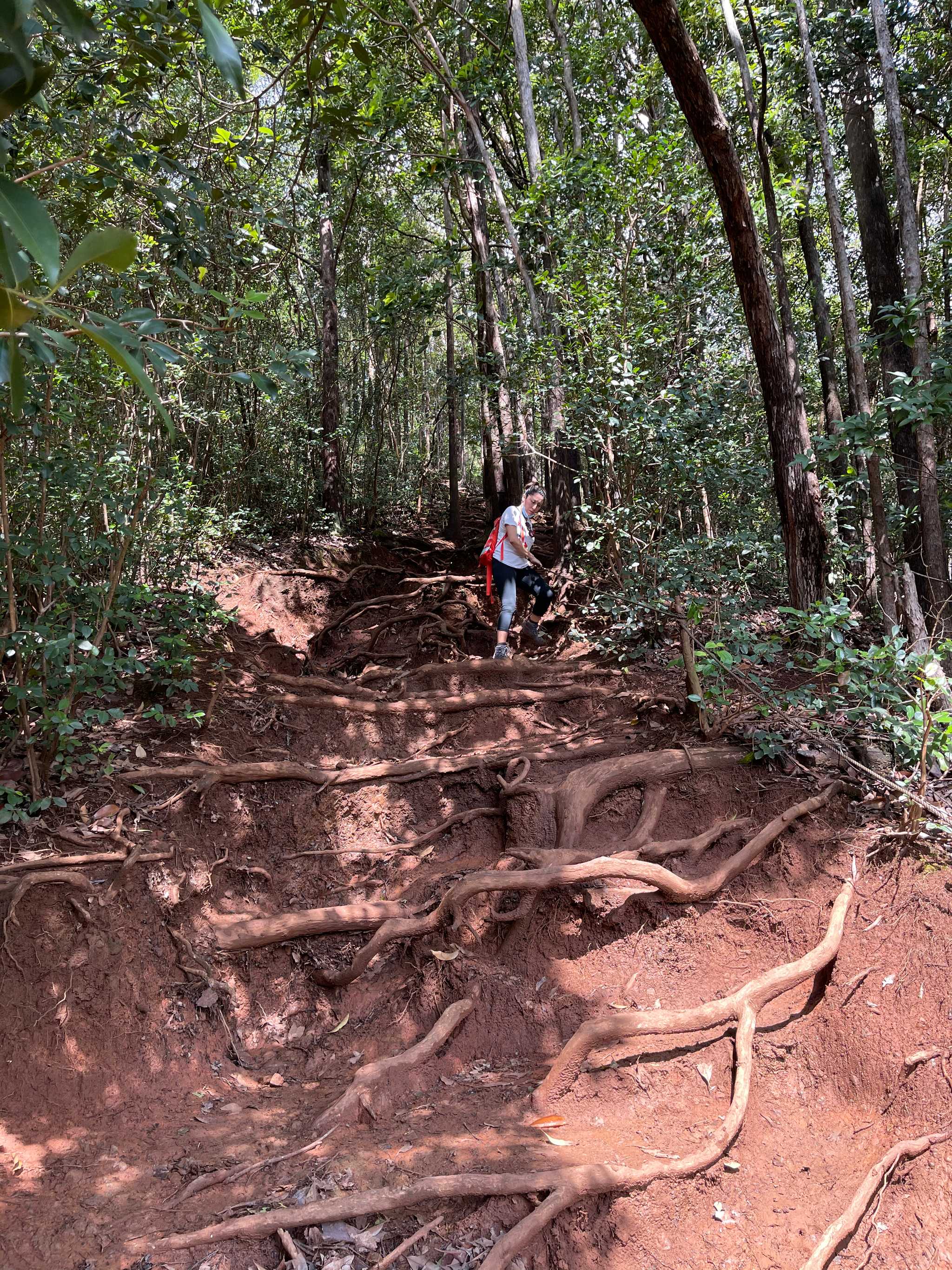 Manana Trail