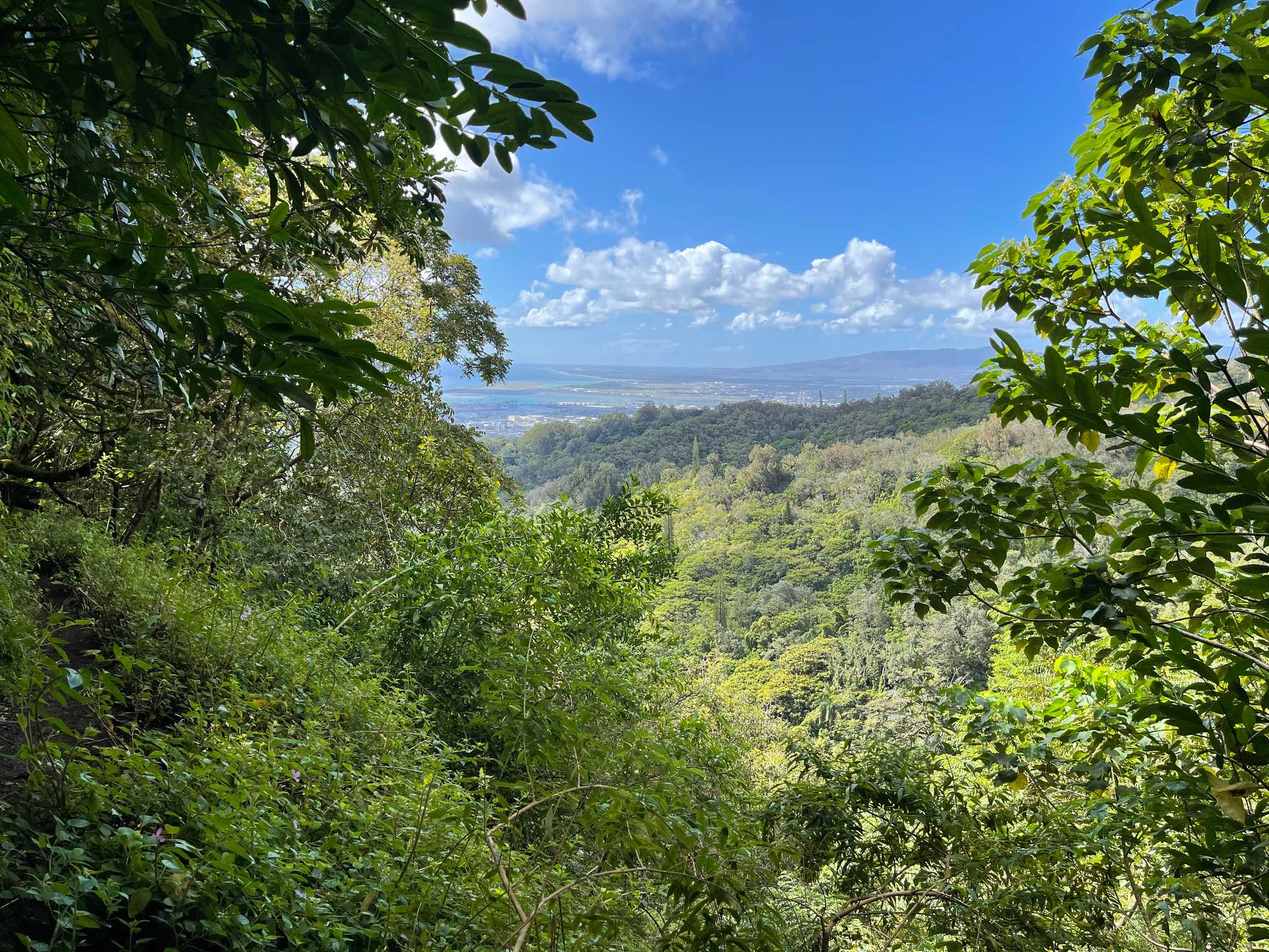 Moleka Trail