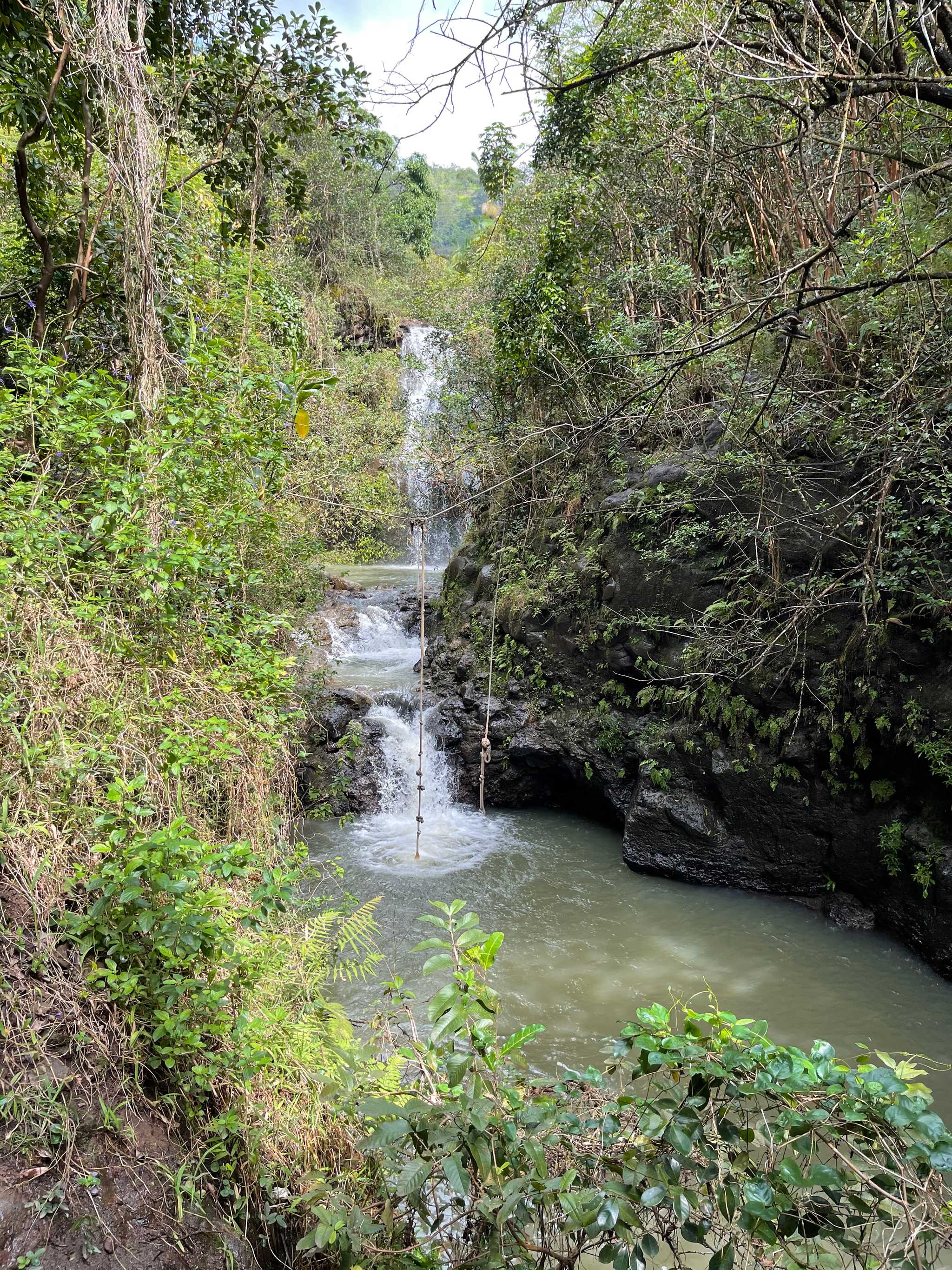Manana Trail