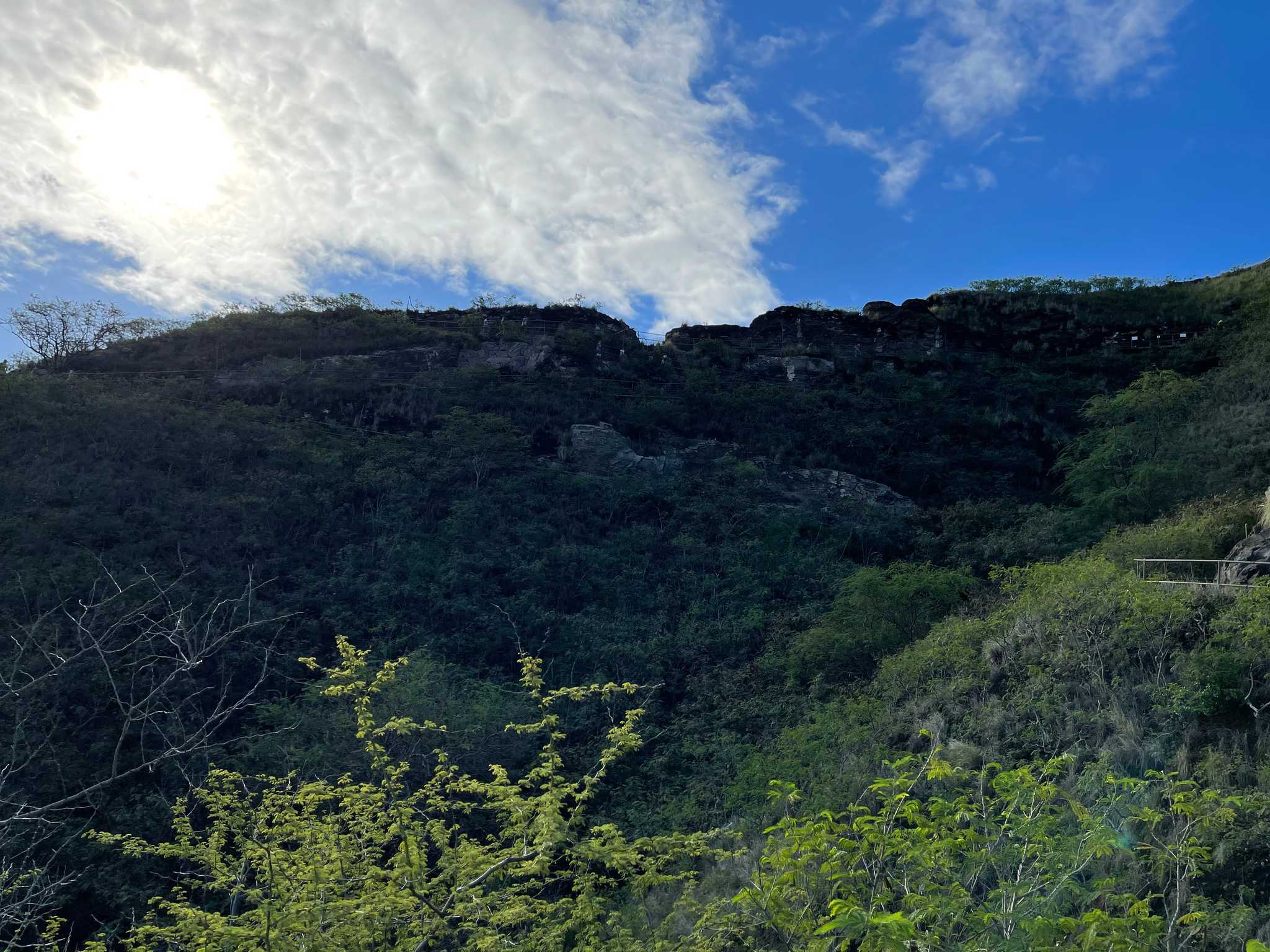 Diamond Head