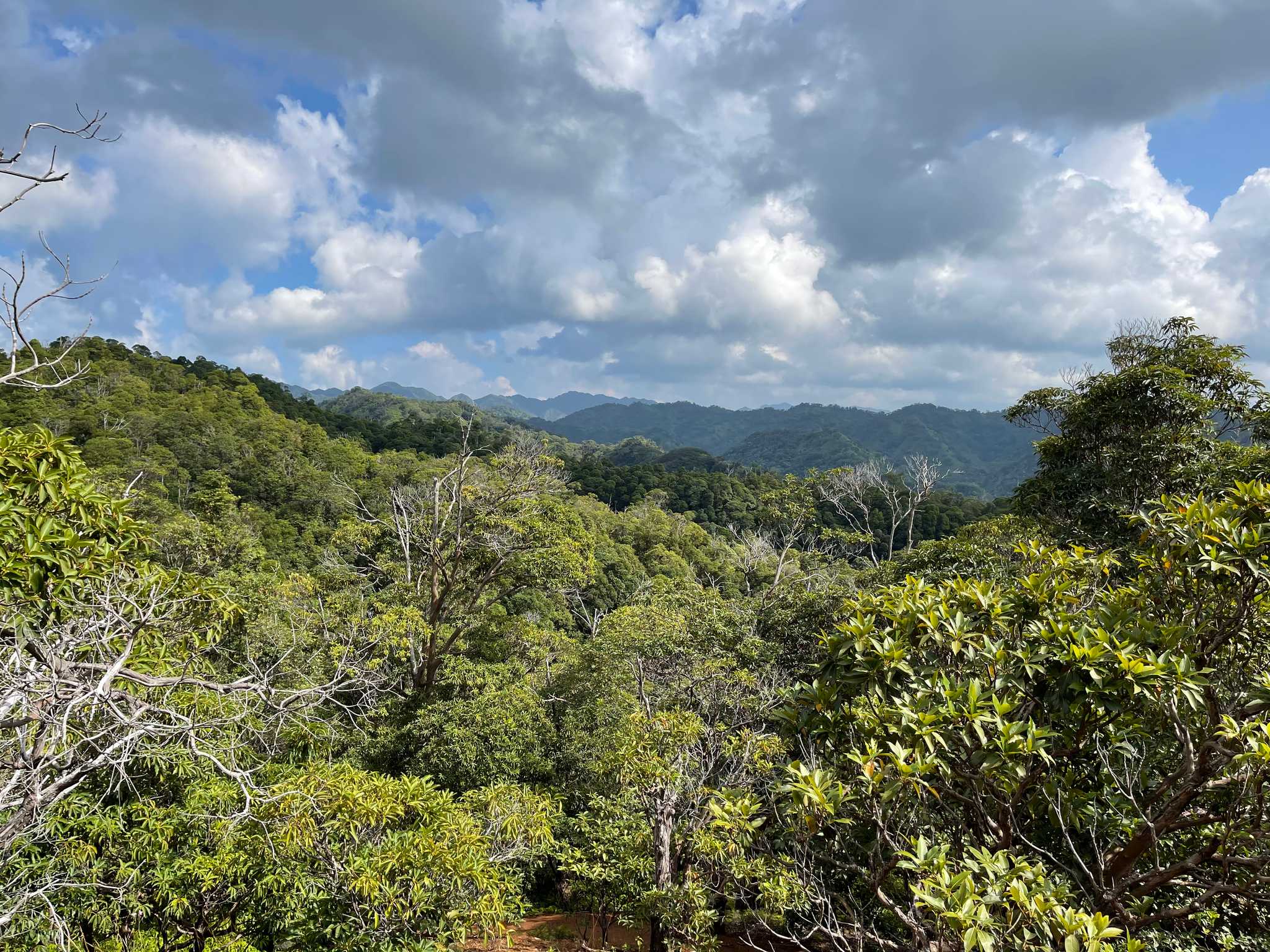 Manana Trail
