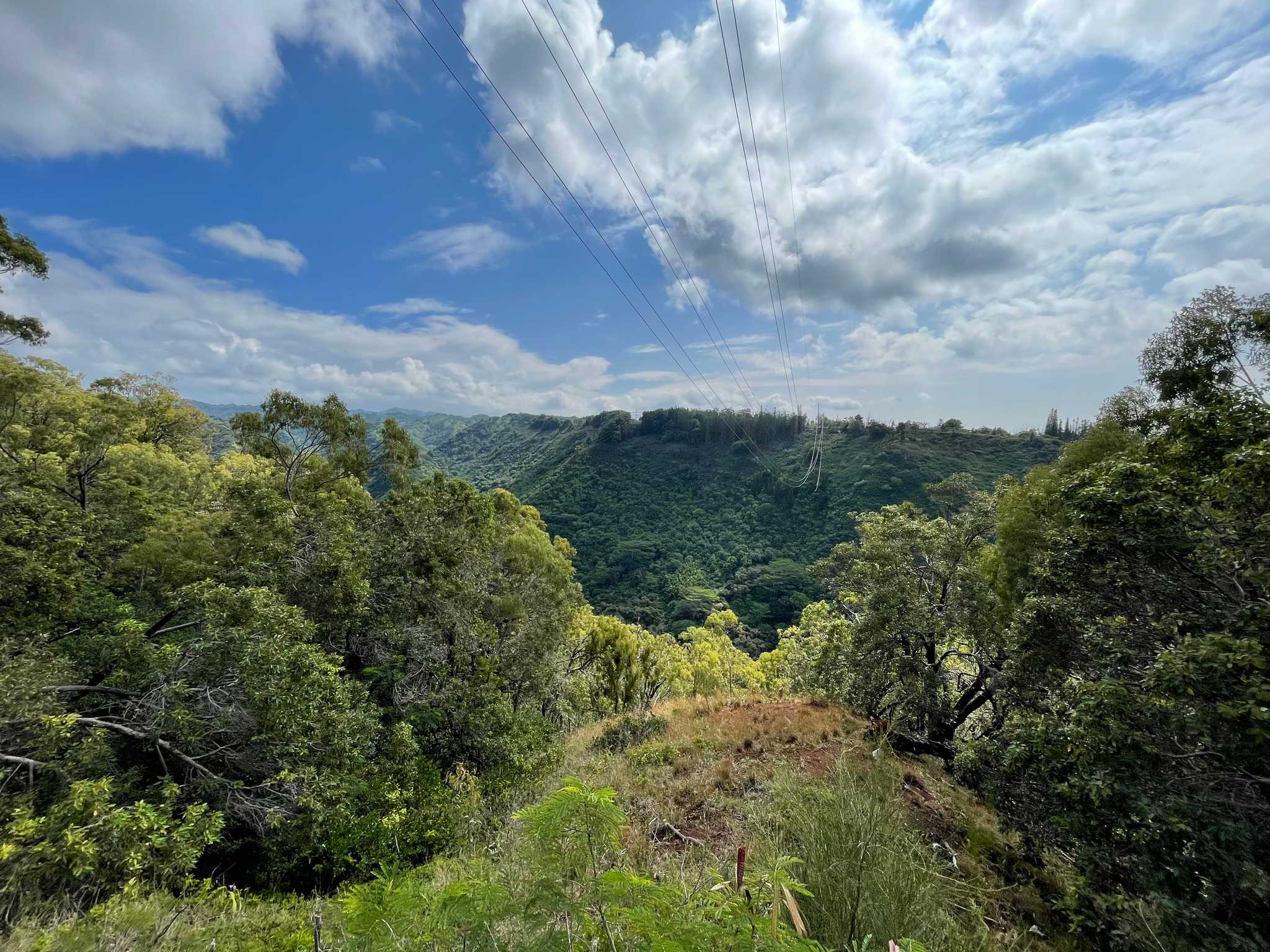 Manana Trail