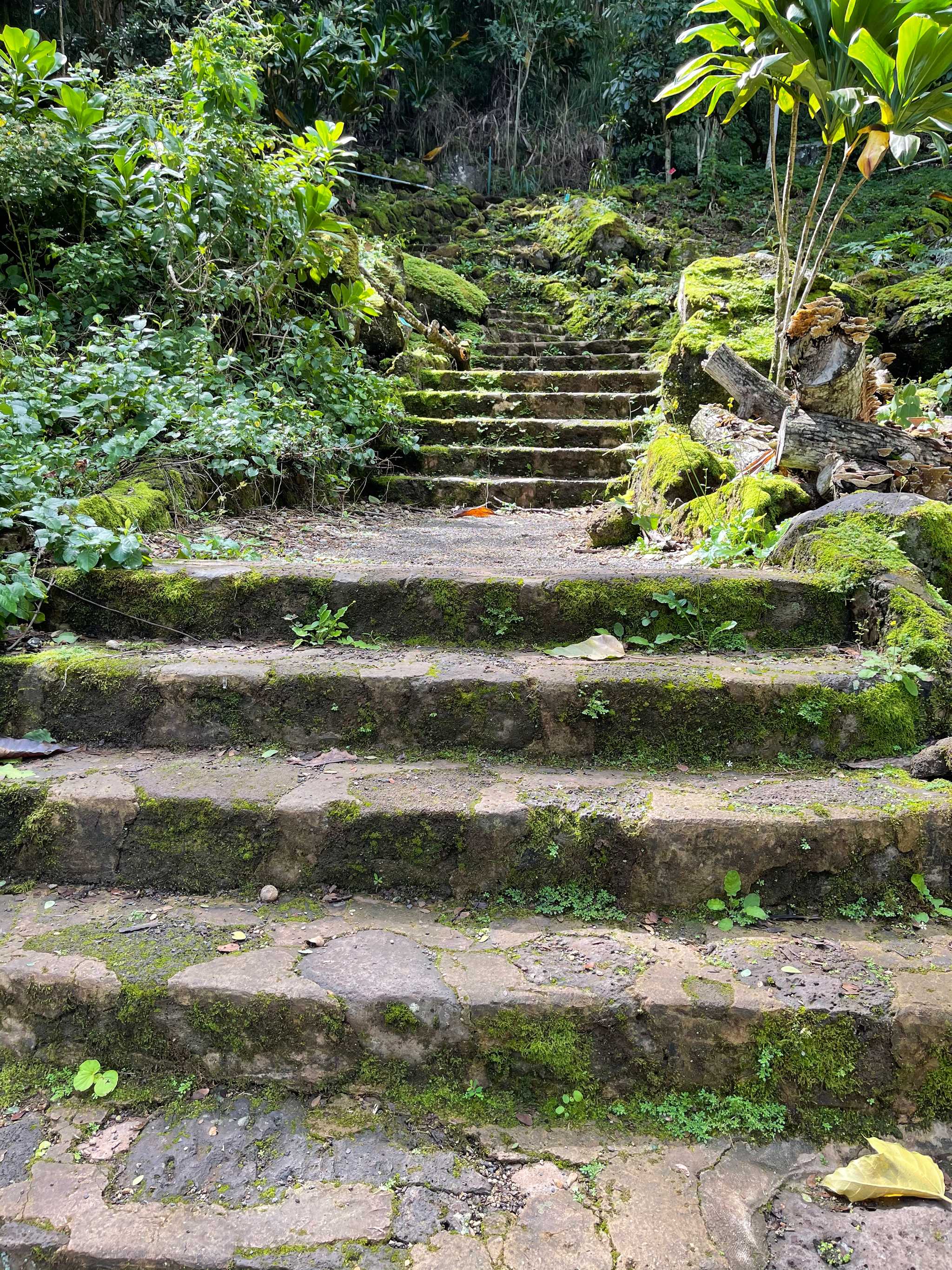Waimea Valley