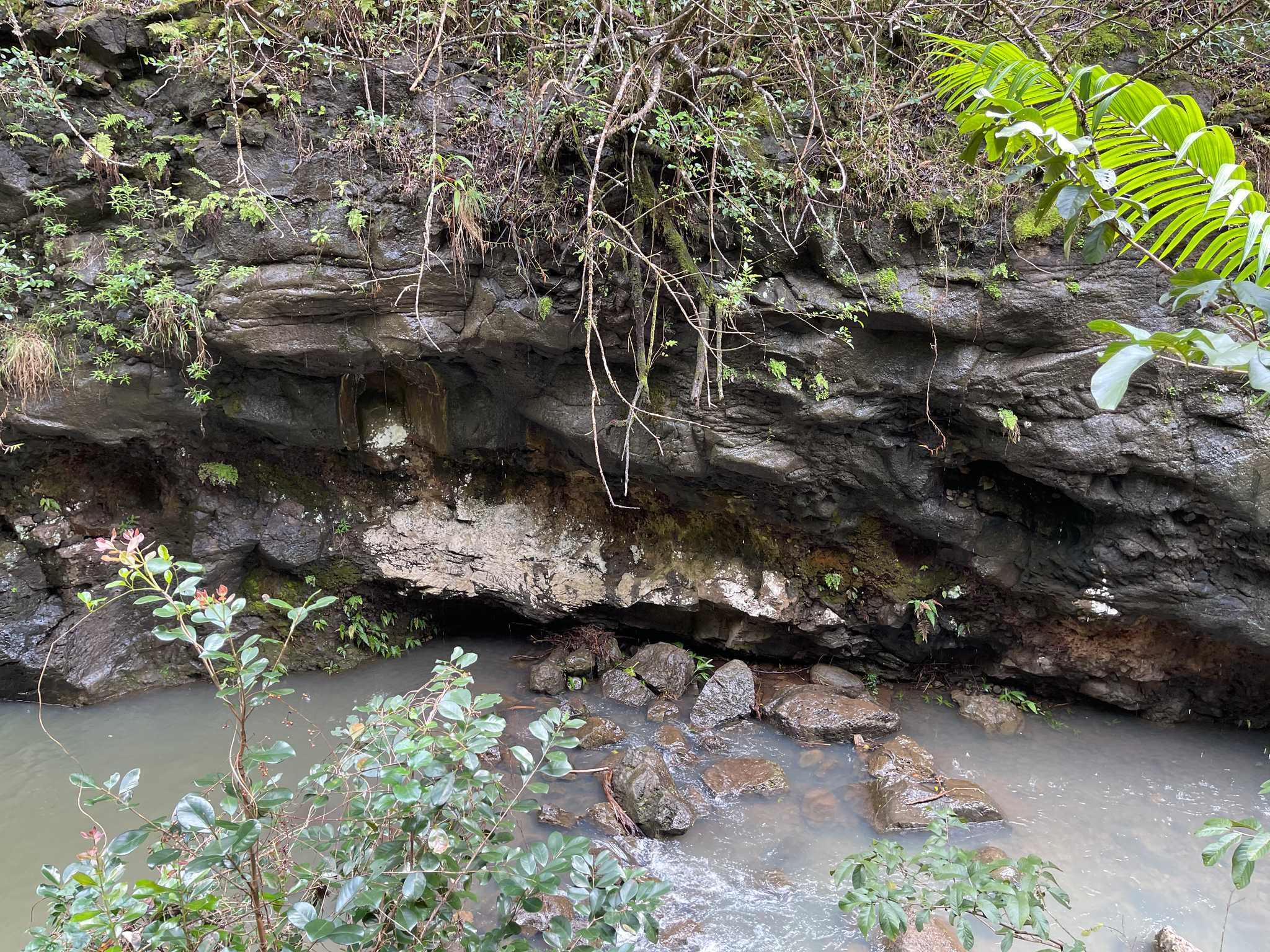 Manana Trail
