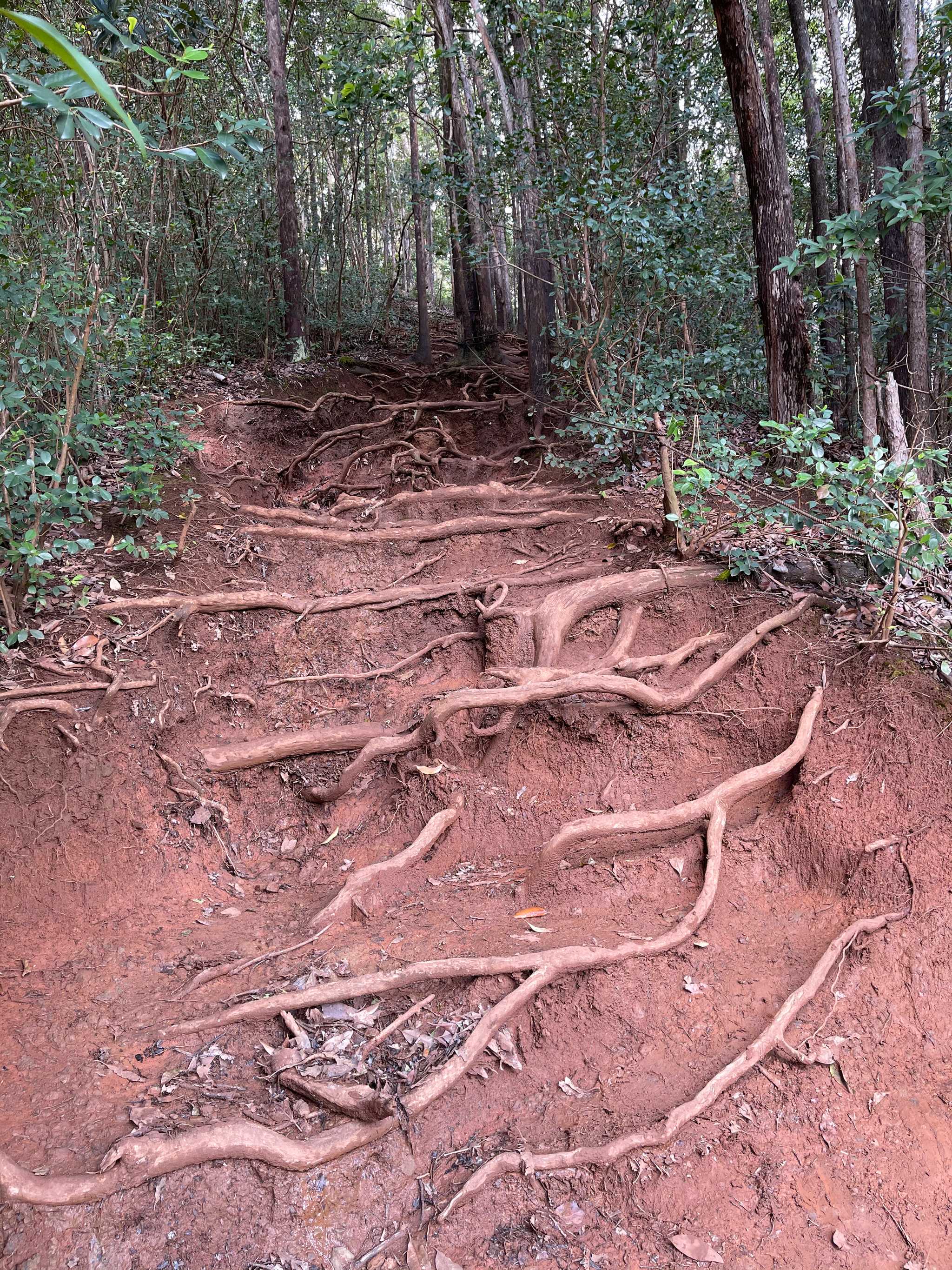 Manana Trail