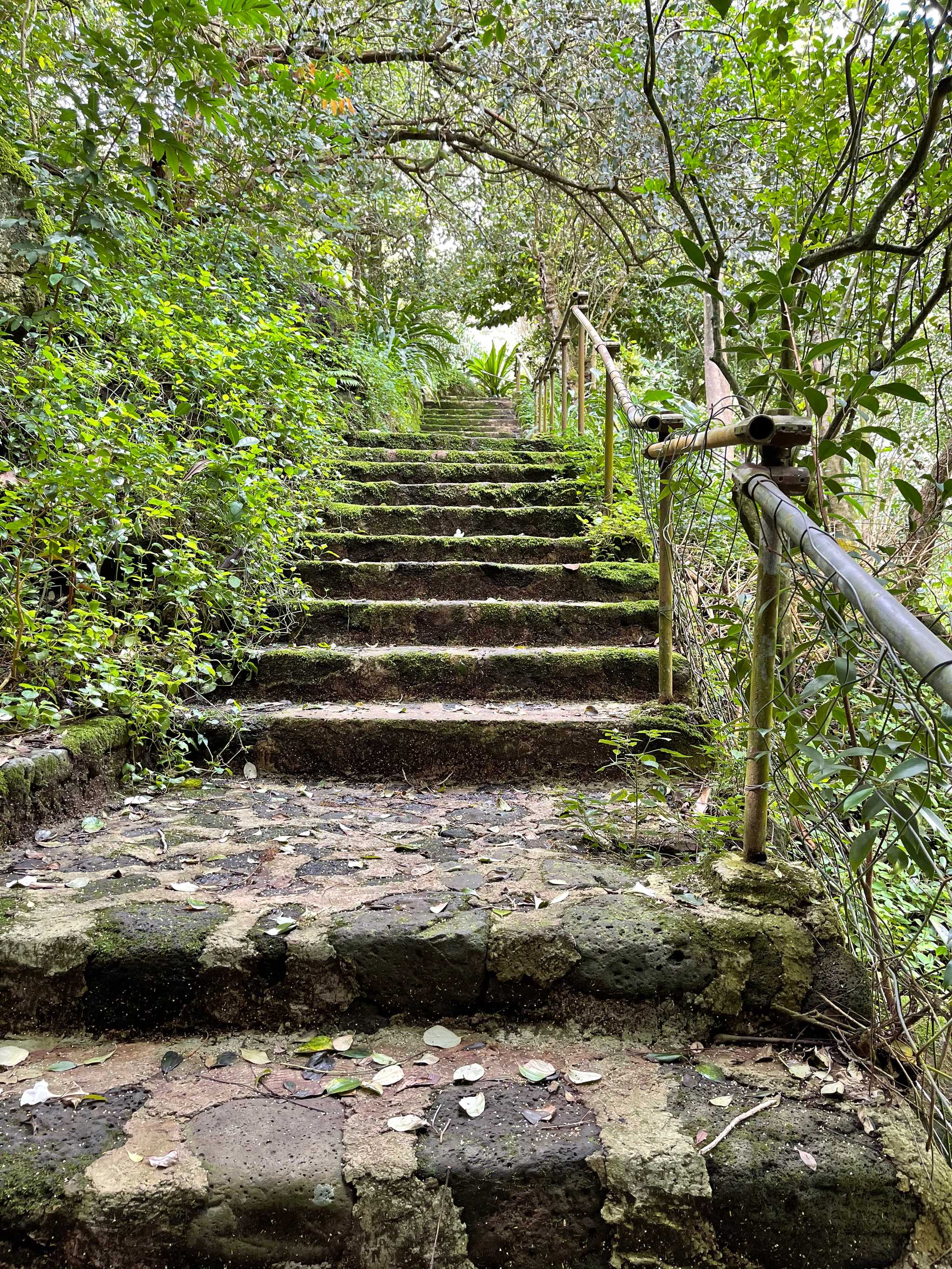 Waimea Valley